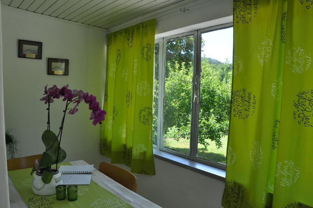 Apartment Marioni Buzet Kültér fotó