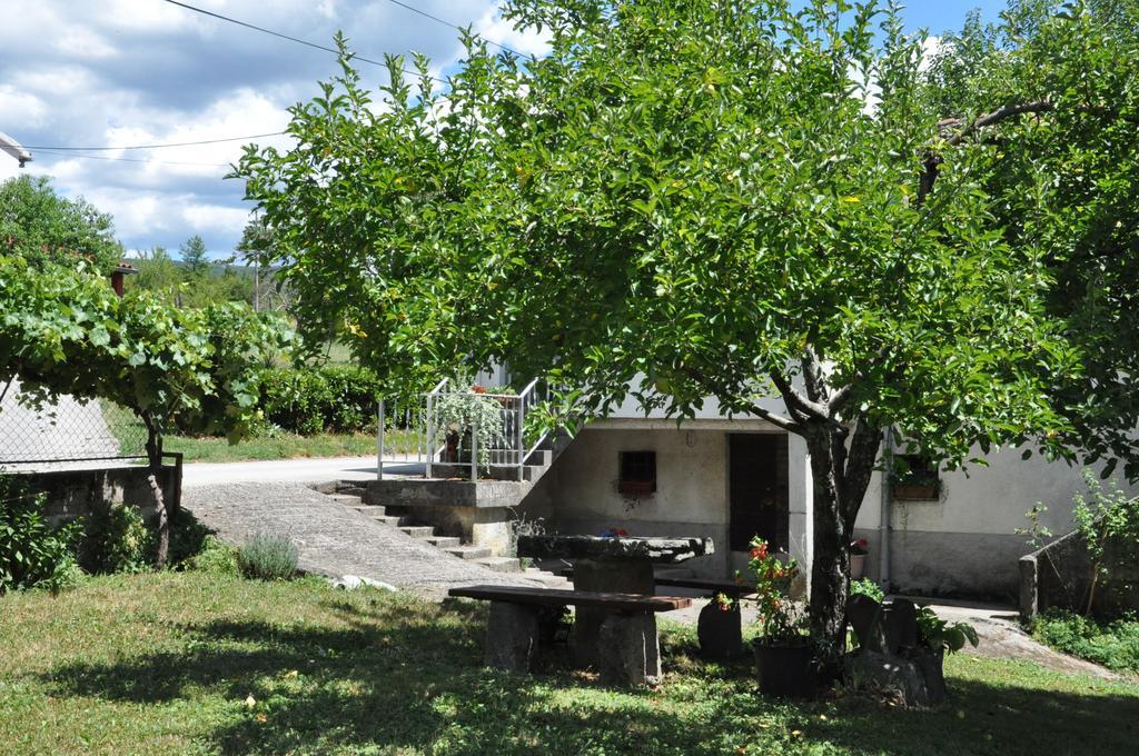 Apartment Marioni Buzet Kültér fotó